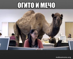 Hump Day Camel