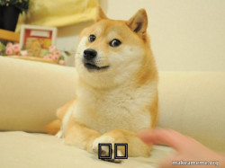 Doge