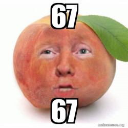 Impeached Donald Trump