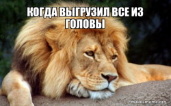 Confession Lion