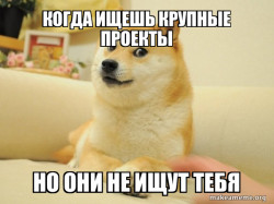 Doge