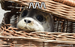 Impending Doom Seal