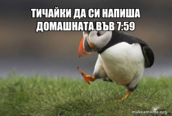 Unpopular Opinion Puffin