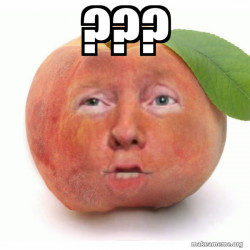 Impeached Donald Trump