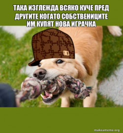 Scumbag dog