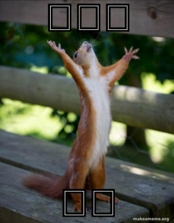 Happy Squirrel