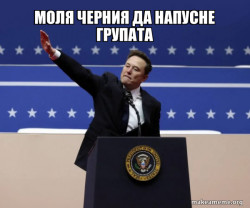 Nazi Elon
