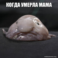 Blobfish