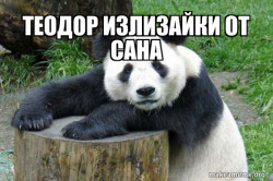 Confession Panda