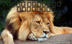 Confession Lion