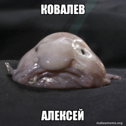 Blobfish