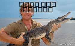Steve irwin