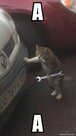 Mechanic Cat