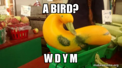 Gourd Advice Mallard