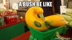 Gourd Advice Mallard