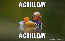 Fashionable Advice Mallard