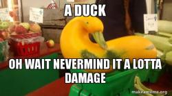 Gourd Advice Mallard