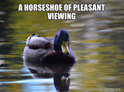 Zen Advice Mallard