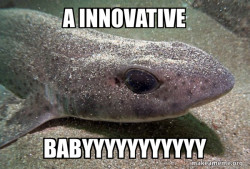 Dirty Joke Dogfish