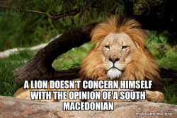 Contemplative Lion