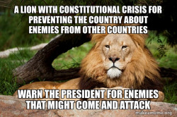 Contemplative Lion