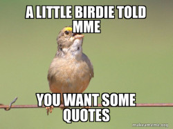 Common Opinion Sparrow