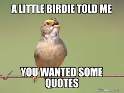 Common Opinion Sparrow