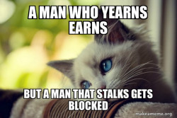 First World Cat Problems