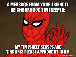Spiderman - Care factor Zero