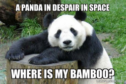 Confession Panda