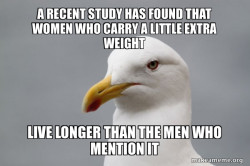 Stuff That Didn't Happen Seagull