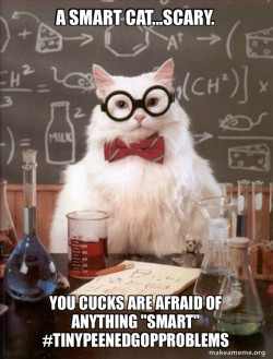Chemistry Cat