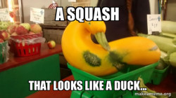 Gourd Advice Mallard