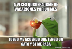 Kermit Drinking Tea