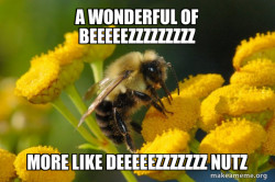 Good Guy Bee