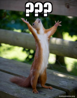 Happy Squirrel
