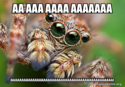 Hipster Spider