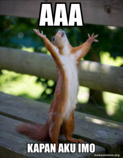 Happy Squirrel