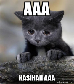 Confession Cat