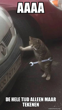 Mechanic Cat