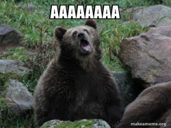 Sarcastic Bear