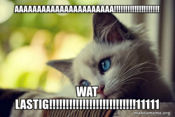First World Cat Problems