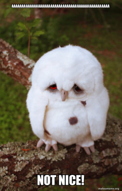 Sad Owl
