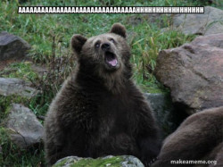 Sarcastic Bear