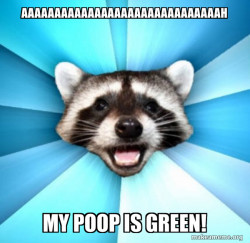 Lame Pun Coon