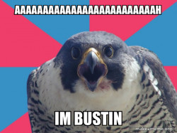 Millennial Falcon