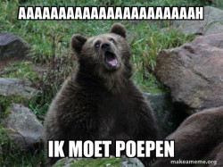 Sarcastic Bear