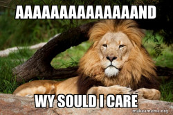 Contemplative Lion