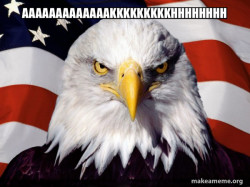 American Pride Eagle