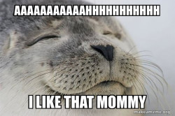 Satisfied Seal